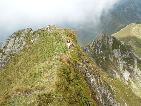 Gleich geschafft! © Yak 2004