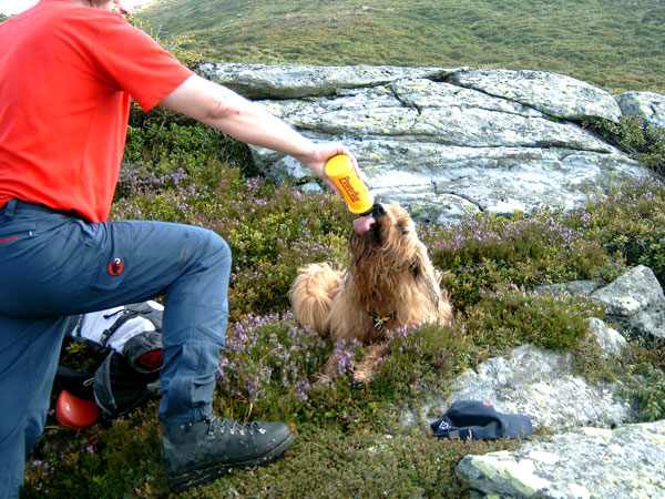 Durst! © Karsten 2004