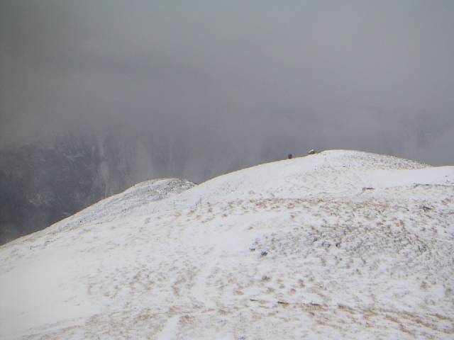 Auf dem R&uuml;ckzug; &copy; Yak 2004