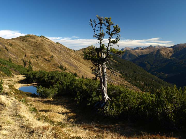 SAN Forum Rottenmanner Tauern