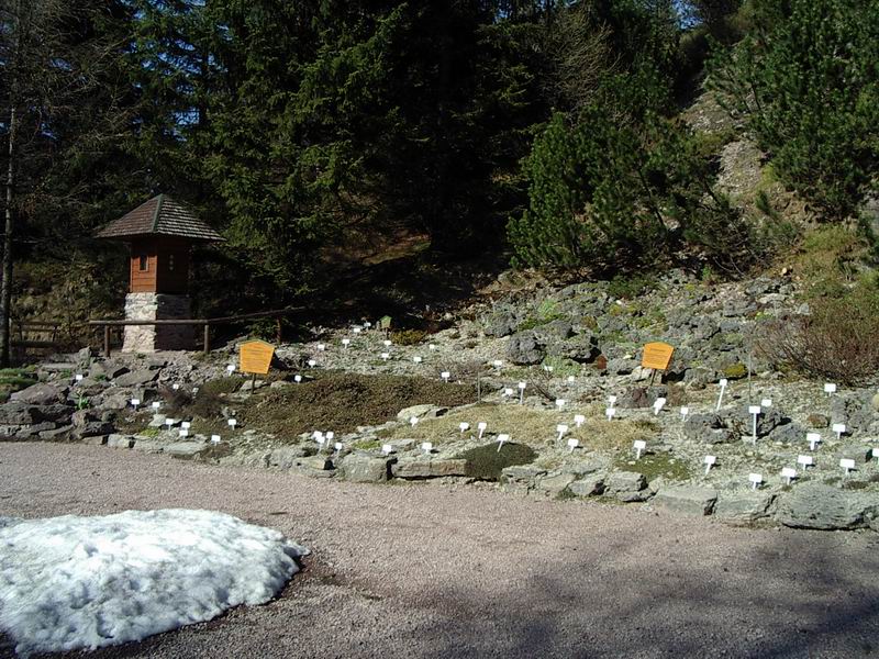 &copy; Usch 2005