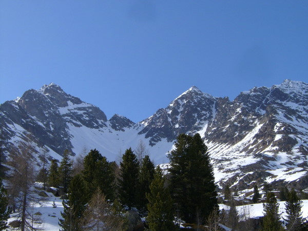 PIC_0011.jpg