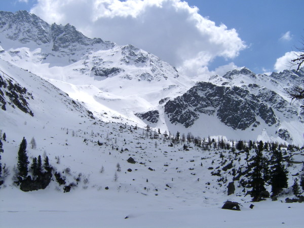 PIC_0020.jpg