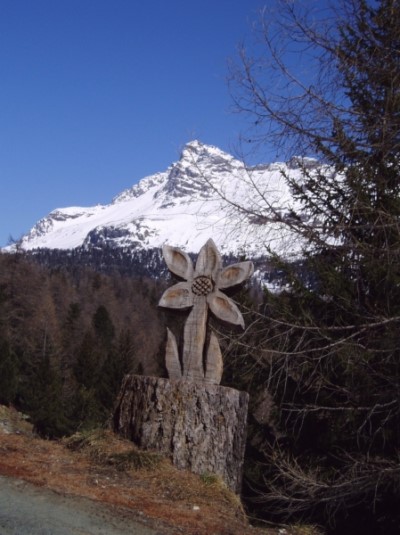 Tag4_Holzblume.jpg