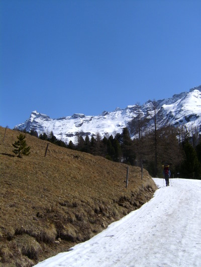 pic_0005.jpg