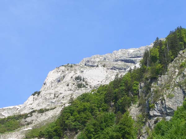 © Lisanne 2006